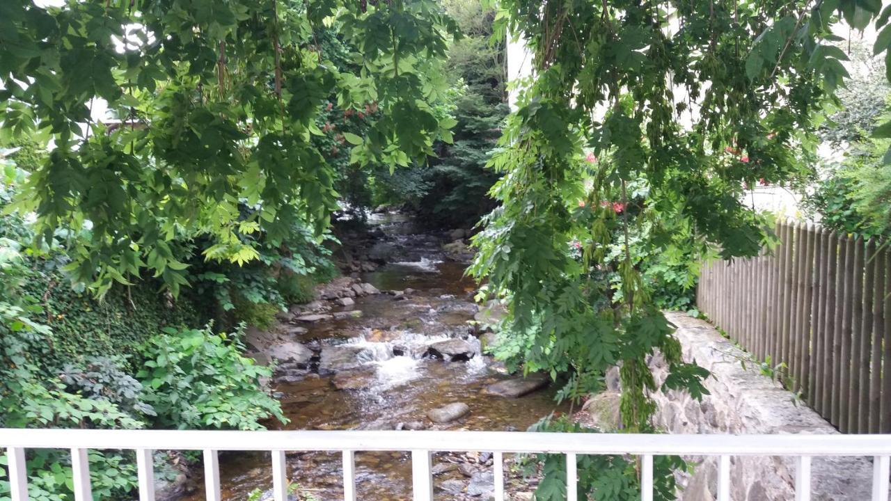 Appartement An Der Radau Bad Harzburg Buitenkant foto